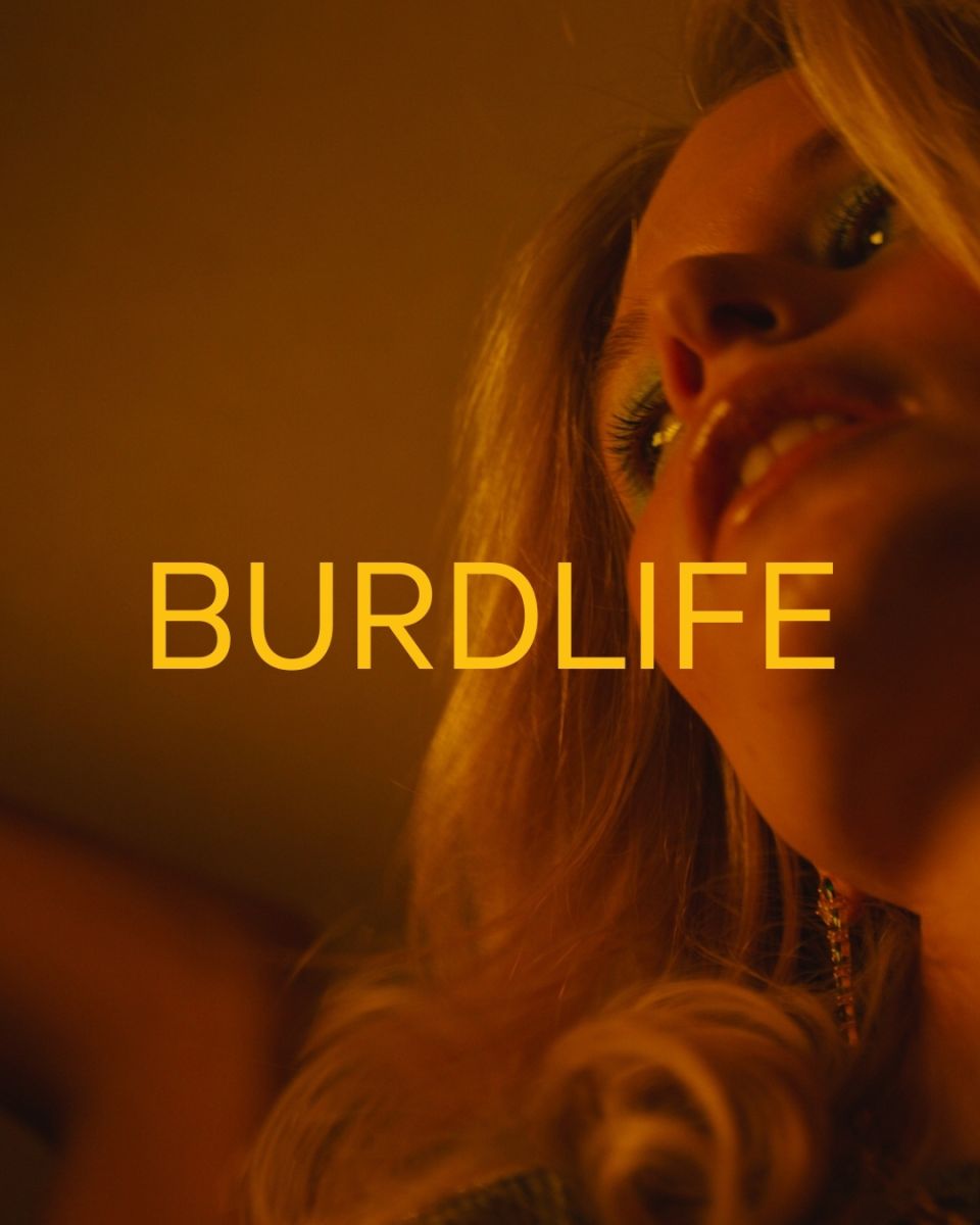 BURDLIFE Coupons and Promo Code